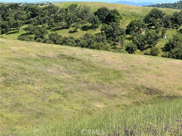Detail Gallery Image 9 of 12 For 0 Unnamed Rd, Paso Robles,  CA 93446 - – Beds | – Baths