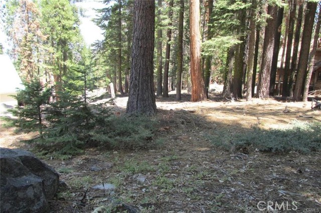 Detail Gallery Image 7 of 8 For 7497 Henness Cir, Yosemite,  CA 95389 - – Beds | – Baths