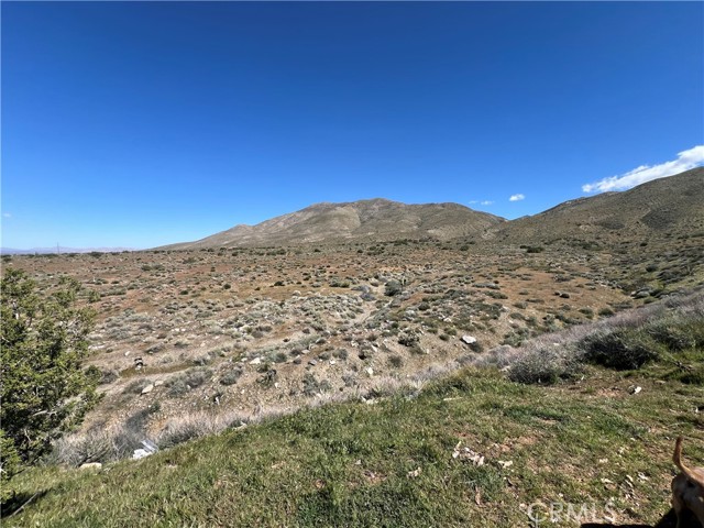 Detail Gallery Image 5 of 21 For 20474 Gemmill, Apple Valley,  CA 92308 - 3 Beds | 1 Baths