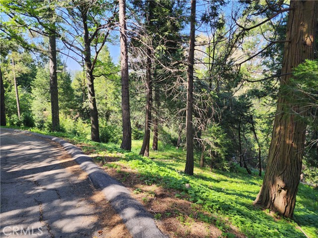 Detail Gallery Image 21 of 21 For 811 Deer Trl, Crestline,  CA 92325 - – Beds | – Baths