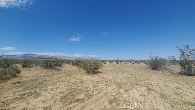 0 Budlong Ave & 114th St West, Rosamond, California 93560, ,Land,For Sale,0 Budlong Ave & 114th St West,CRSR23171065