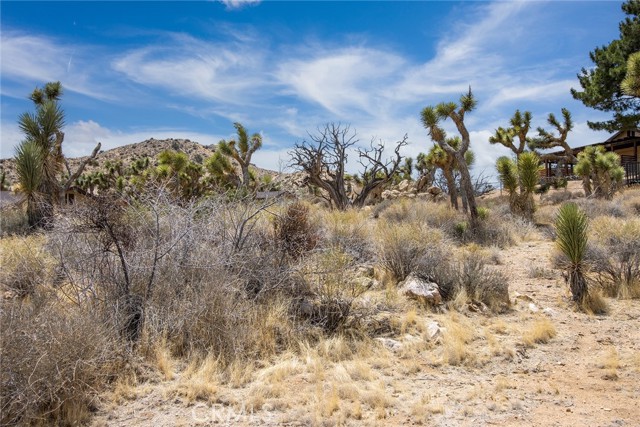 8385 Elk Court, Yucca Valley CA: https://media.crmls.org/medias/2bc0c512-33a3-4a08-af01-69703f512188.jpg