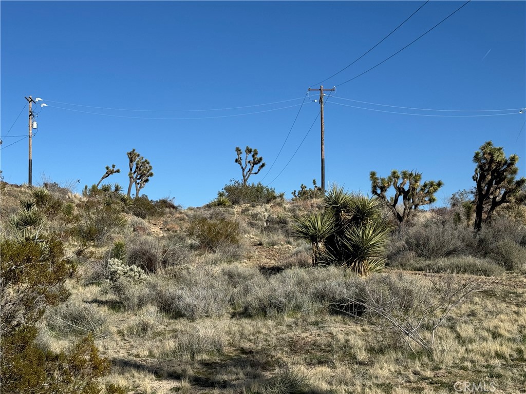 MLS #JT25038167 image #6