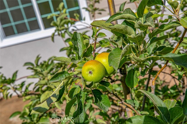 Detail Gallery Image 49 of 54 For 10150 Mcvine Ave, Los Angeles,  CA 91040 - 3 Beds | 2 Baths