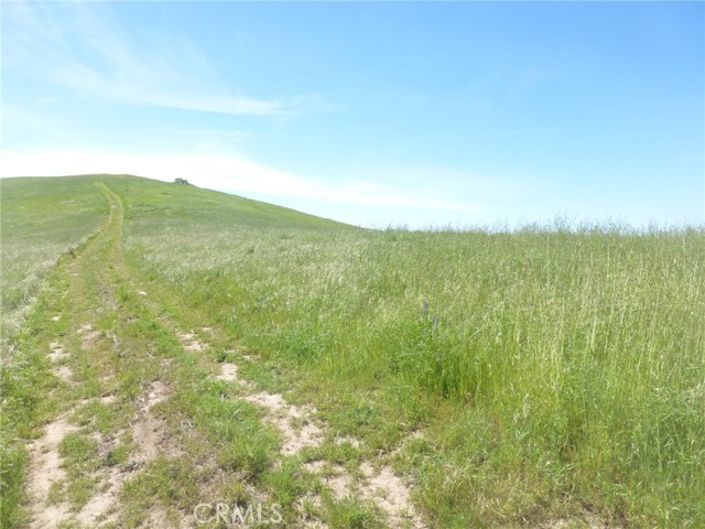 Detail Gallery Image 16 of 51 For 0 Douglas Rd. (Lot 33), San Miguel,  CA 93451 - – Beds | – Baths