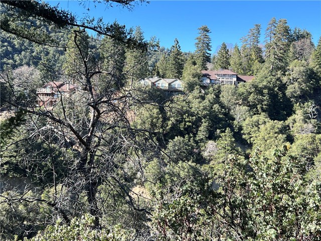 Detail Gallery Image 18 of 18 For 0 Ca-38, Angelus Oaks,  CA 92305 - – Beds | – Baths