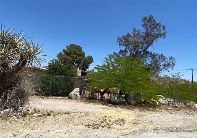 51371 Cheyenne Trail, Morongo Valley CA: https://media.crmls.org/medias/2bd08406-9e73-468e-9241-2453de4a256e.jpg