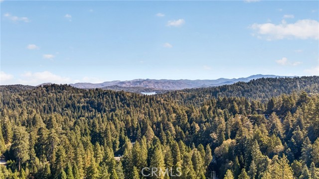 26485 Sugar Cone Ln., Twin Peaks, CA 92391