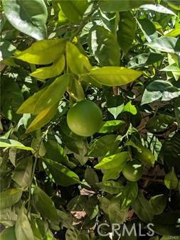 Detail Gallery Image 23 of 24 For 62 Acorn, Irvine,  CA 92620 - 4 Beds | 2/1 Baths