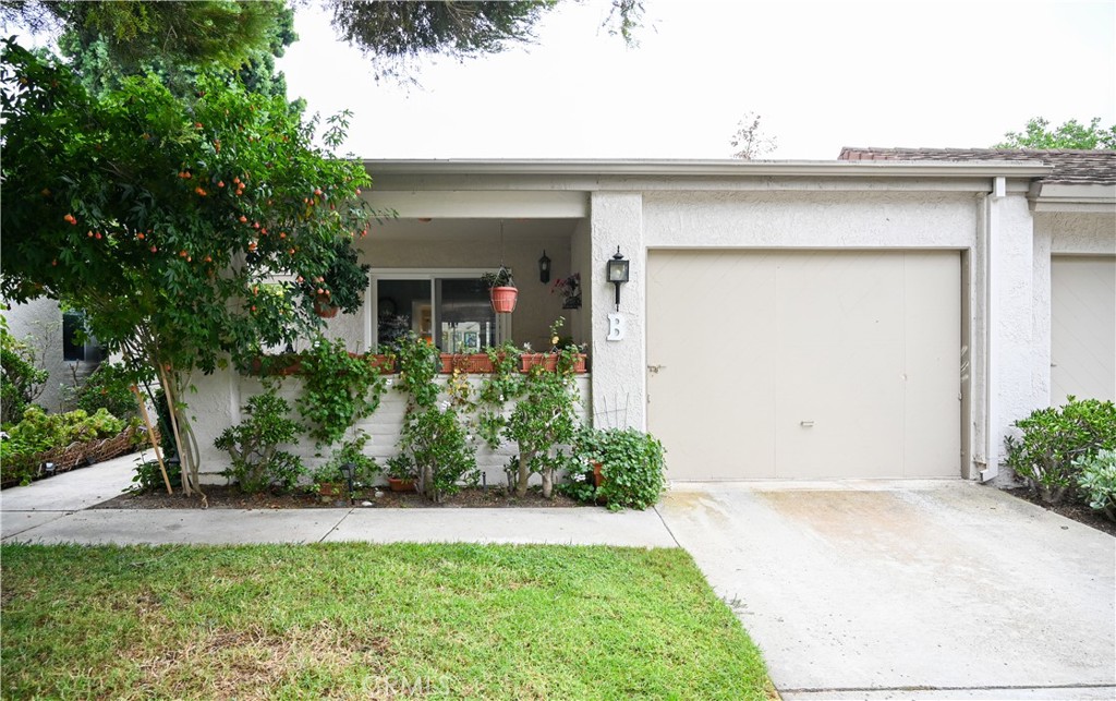3296 San Amadeo