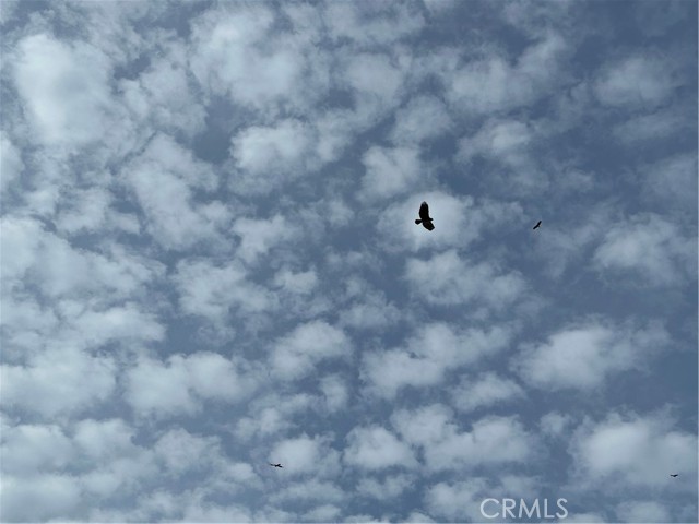 Detail Gallery Image 9 of 18 For 3224 Silver Bush Pl, Catheys Valley,  CA 95306 - – Beds | – Baths