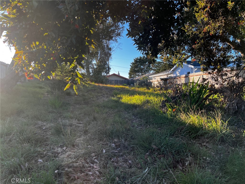 MLS #SC25022080 image #4