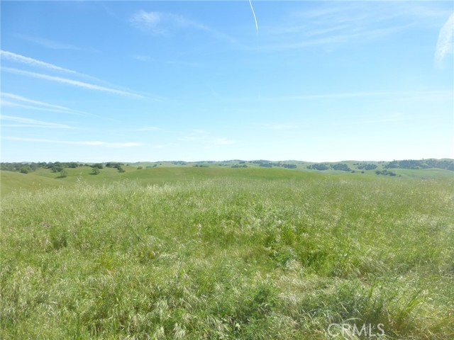 Detail Gallery Image 33 of 75 For 0 Douglas Rd. (Lots 28, 33 & 34), San Miguel,  CA 93451 - – Beds | – Baths