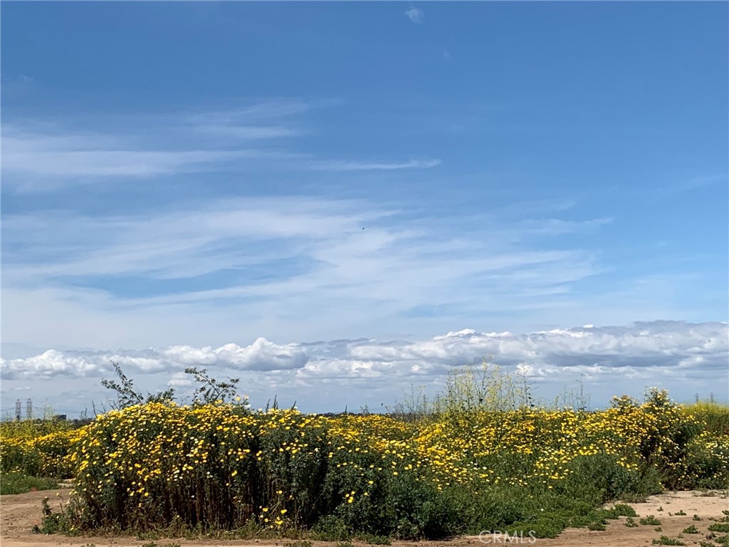 https://media.crmls.org/medias/2c00e2d0-0803-4207-b98b-512ee66a1acf.jpg?preset=X-Large