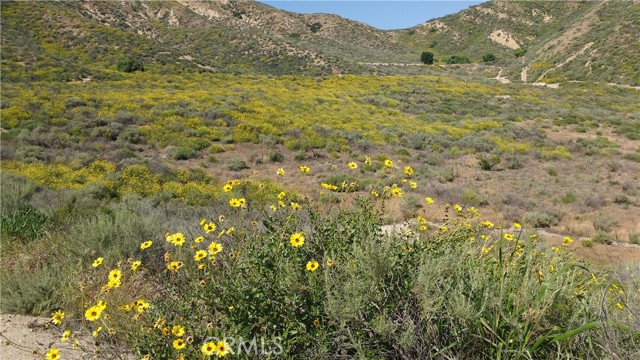 Detail Gallery Image 10 of 13 For 6947 Solano Verde Drive, Somis,  CA 93066 - – Beds | – Baths