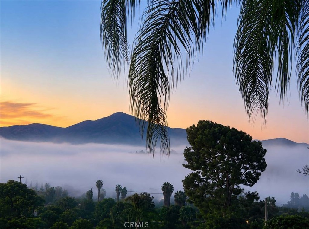 https://media.crmls.org/medias/2c0cc696-f280-4eef-ae45-bca7c9af5014.jpg?preset=X-Large