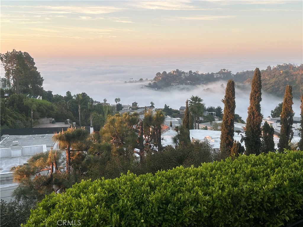 MLS #LG25270417 image #265