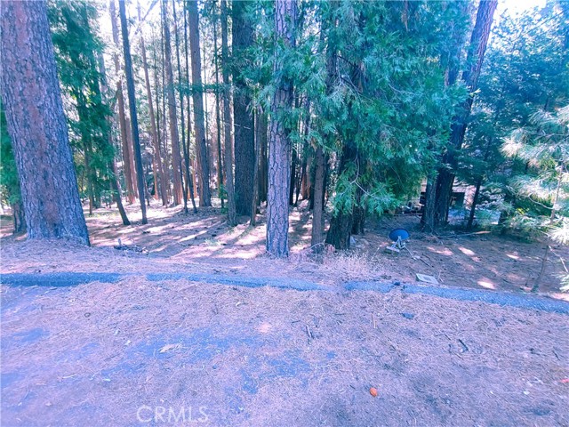 0 Tyler, Magalia, CA, 95954 0 Tyler, Magalia, CA, 95954