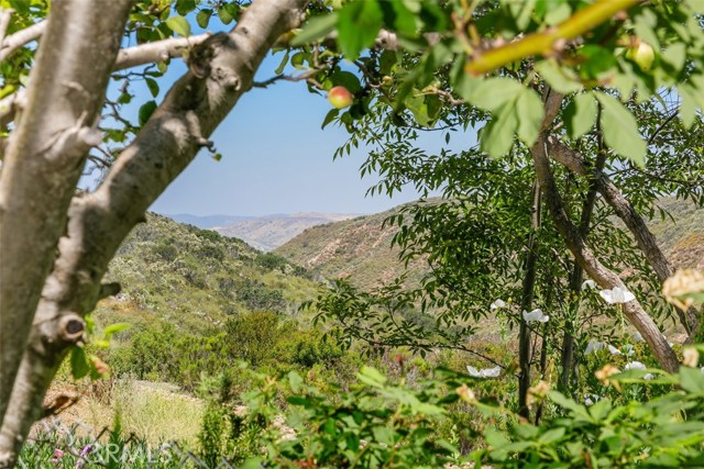 7641 Rainswept Lane, San Diego, California 92119, 3 Bedrooms Bedrooms, ,3 BathroomsBathrooms,Residential,For Sale,Rainswept Lane,ND24116259