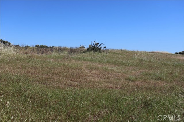 Detail Gallery Image 29 of 32 For 0 Carona Ave., Corning,  CA 96021 - – Beds | – Baths