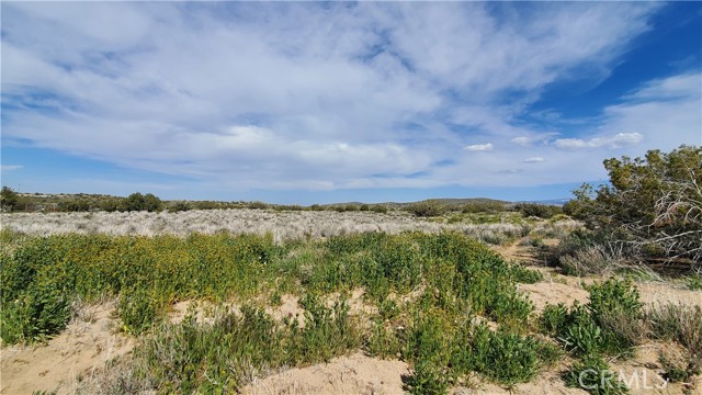 Detail Gallery Image 11 of 31 For 0 123rd St East Near Ave X8, –,  CA 93553 - – Beds | – Baths