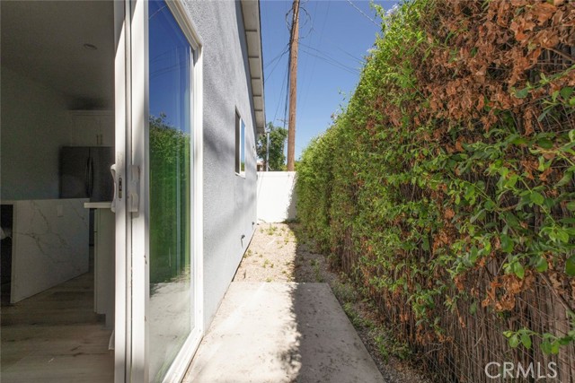 6206 Camellia photo 70