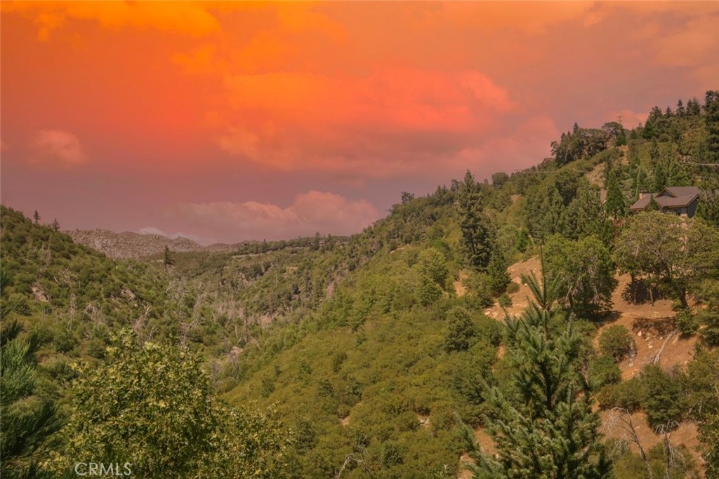 MLS #IV25133674 image #13