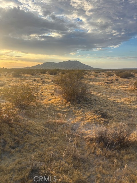  Land for Sale in Black Butte, California