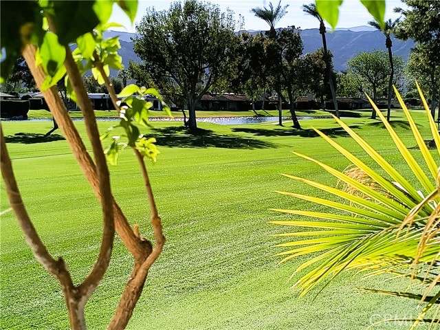 Detail Gallery Image 60 of 75 For 6 Whittier Ct, Rancho Mirage,  CA 92270 - 3 Beds | 3 Baths