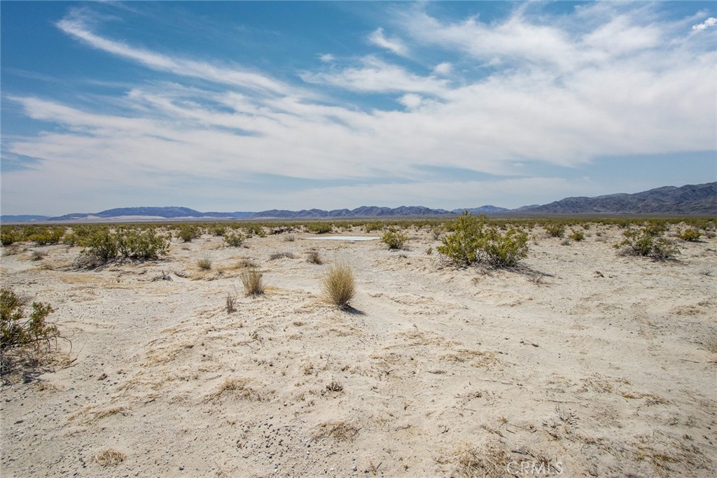 MLS #JT23077574 image #8