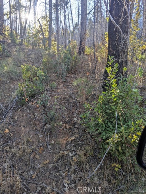 Detail Gallery Image 10 of 38 For 1833 Hunter Point Rd, Upper Lake,  CA 95485 - – Beds | – Baths