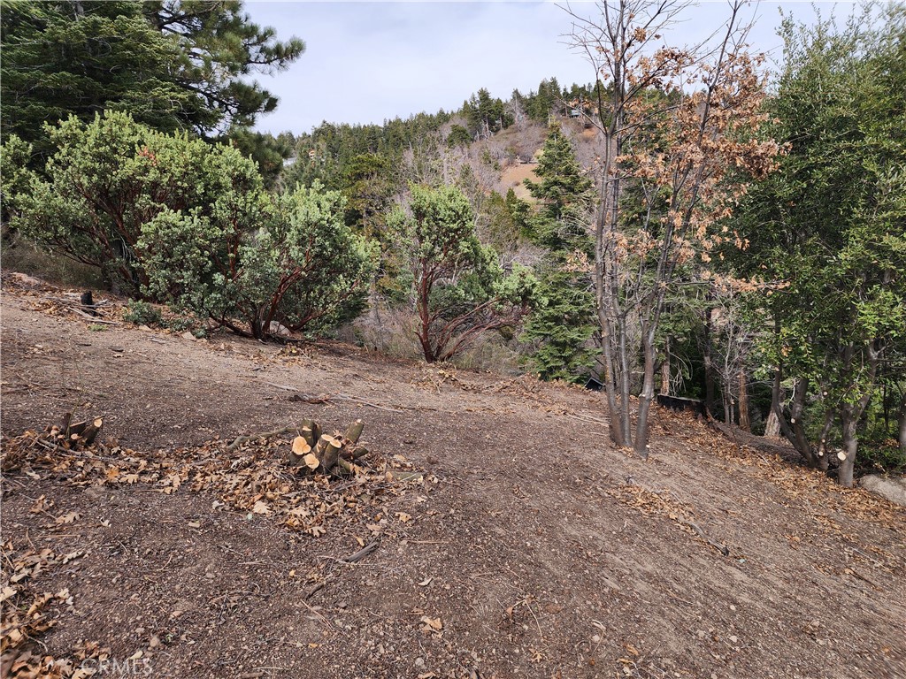 MLS #IG25045374 image #25