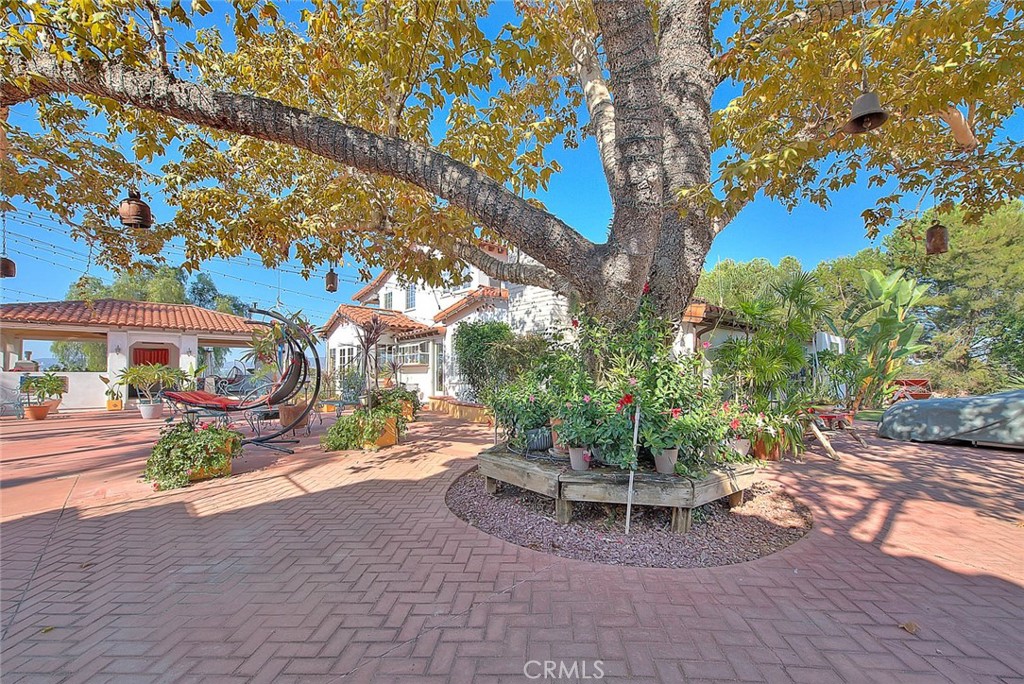 MLS #PW25273676 image #6