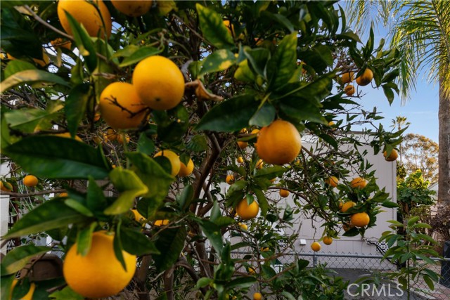 Detail Gallery Image 26 of 27 For 6460 Convoy Ct #76, San Diego,  CA 92117 - 3 Beds | 2 Baths