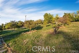 Detail Gallery Image 10 of 10 For 2440 Los Alisos Dr, Fallbrook,  CA 92028 - 5 Beds | 3 Baths