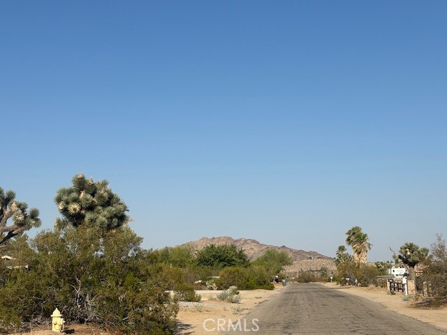 MLS #JT25181795 image #9