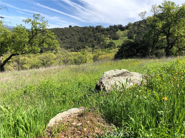 Detail Gallery Image 9 of 12 For 777 Tepusquet Rd, Santa Maria,  CA 93454 - – Beds | – Baths