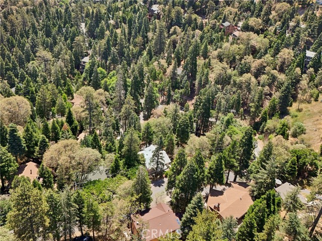 Detail Gallery Image 47 of 61 For 854 Bergschrund Dr, Crestline,  CA 92325 - 4 Beds | 2 Baths