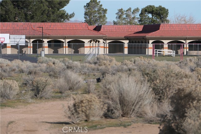 Front Image Thumbnail for CRTR25279831