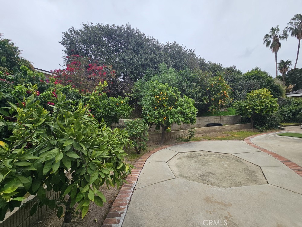 https://media.crmls.org/medias/2c466200-e6d4-41ea-8932-8e1657fbcbed.jpg?preset=X-Large