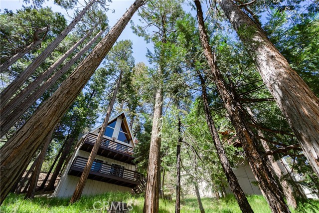 Detail Gallery Image 3 of 71 For 155 Birchwood, Lake Arrowhead,  CA 92352 - 3 Beds | 2 Baths