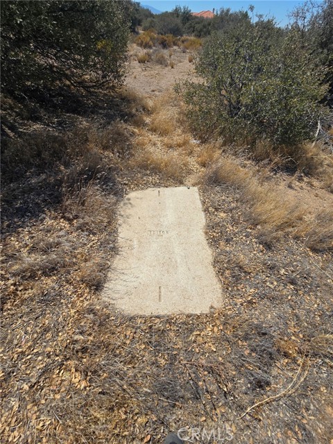 9602 Cedar Street, Phelan CA: https://media.crmls.org/medias/2c569187-1963-426c-a160-8c0daf852120.jpg