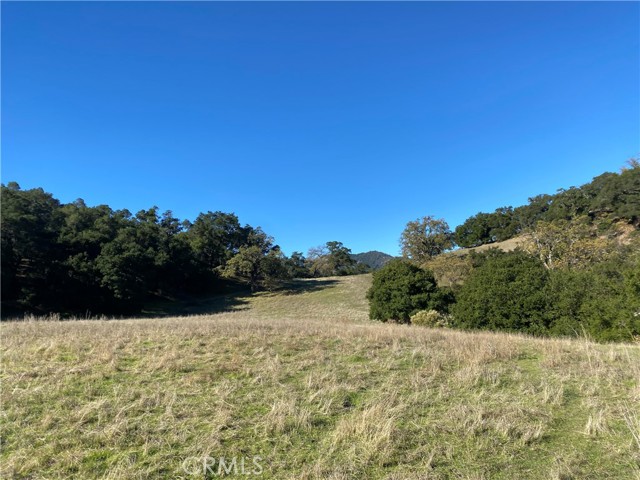 0 Upper Lopez Canyon Rd., Arroyo Grande, California 93420, ,Land,For Sale,0 Upper Lopez Canyon Rd.,CRPI21262059