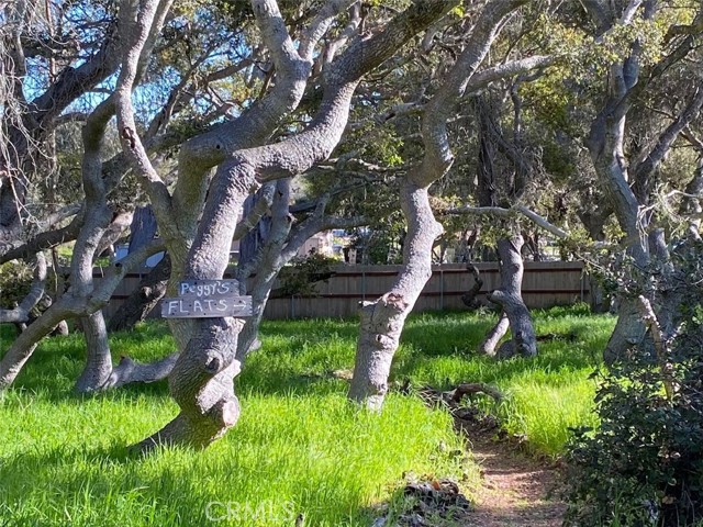 Detail Gallery Image 32 of 33 For 1595 Los Osos Valley Rd 42c,  Los Osos,  CA 93402 - 2 Beds | 1/1 Baths