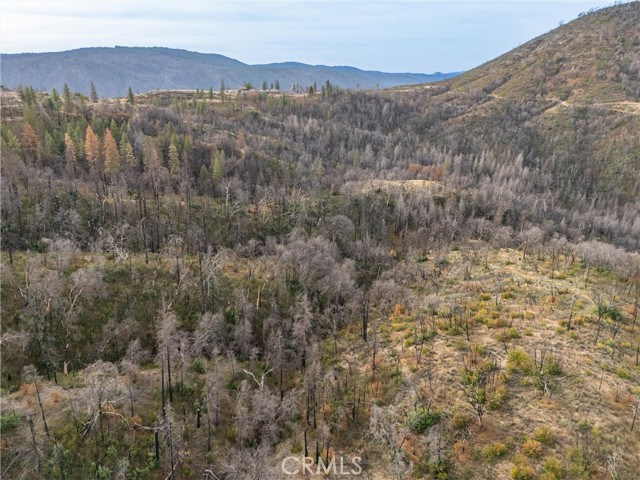 2231 Lumpkin Road, Oroville, California 95966, ,Land,For Sale,2231 Lumpkin Road,CRSN23227176