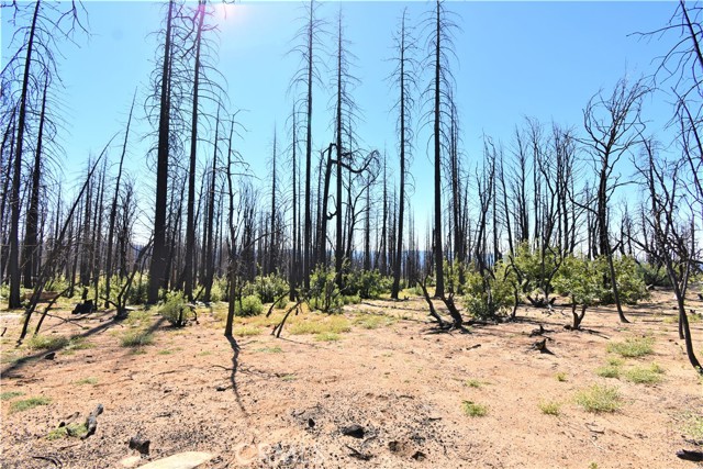 0 Bald Rock Road, Berry Creek, California 95916, ,Land,For Sale,0 Bald Rock Road,CROR22196331