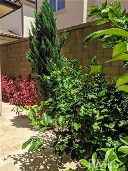 Detail Gallery Image 22 of 24 For 62 Acorn, Irvine,  CA 92620 - 4 Beds | 2/1 Baths