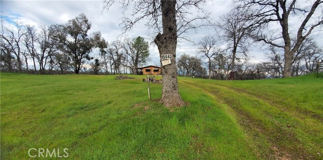 Detail Gallery Image 2 of 16 For 15842 S Mendocino, Corning,  CA 96021 - – Beds | – Baths