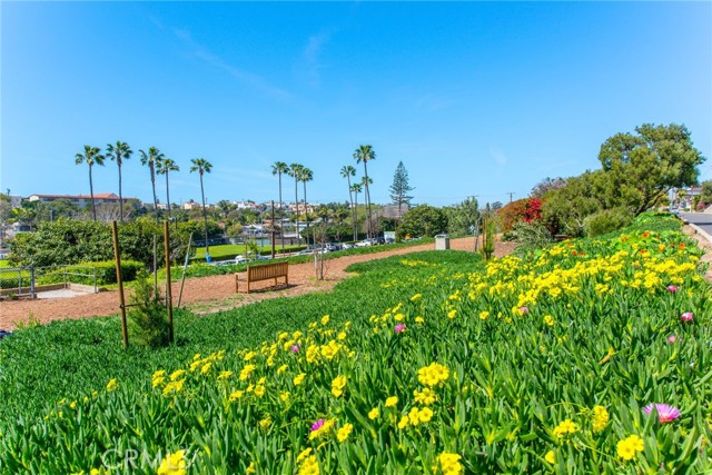 Detail Gallery Image 19 of 23 For 1720 Ardmore Ave #212,  Hermosa Beach,  CA 90254 - 1 Beds | 1 Baths