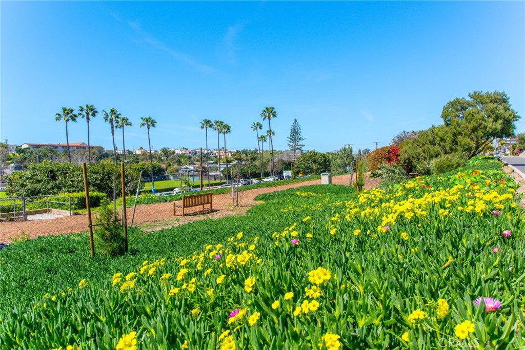 https://media.crmls.org/medias/2c6ec53d-6136-4922-8ab8-62c28df951e8.jpg?preset=X-Large